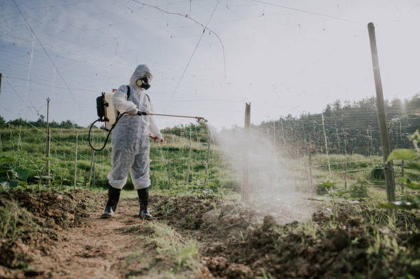 Best Pest Prevention Services  in Barbourville, KY