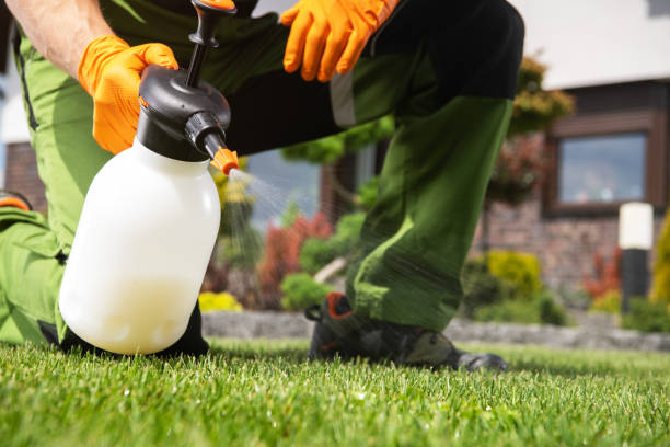 Best Ant Control Services  in Barbourville, KY