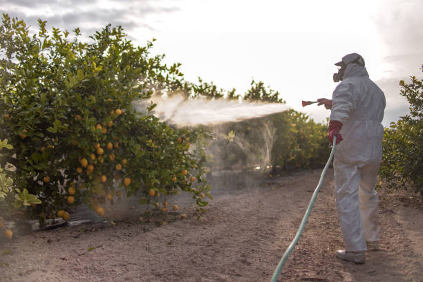 Best Mosquito Control Services  in Barbourville, KY