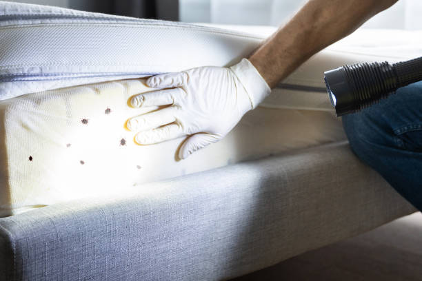 Best Pest Inspection Near Me  in Barbourville, KY