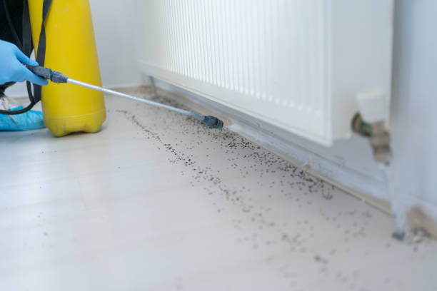  Barbourville, KY Pest Control Pros