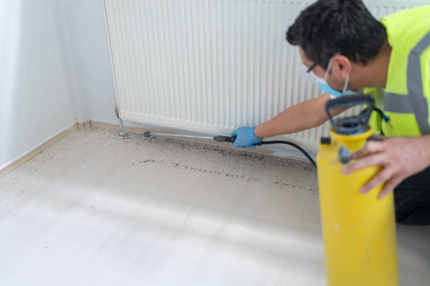 Best Pest Removal Services  in Barbourville, KY