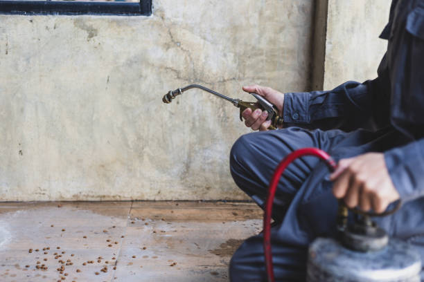 Best Best Pest Control Companies  in Barbourville, KY